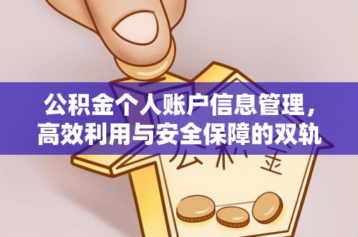 两当公积金个人账户信息管理，高效利用与安全保障的双轨并行