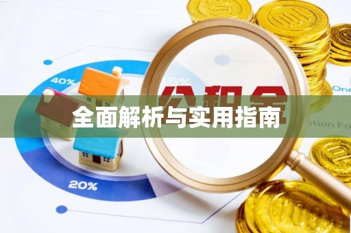 两当全面解析与实用指南