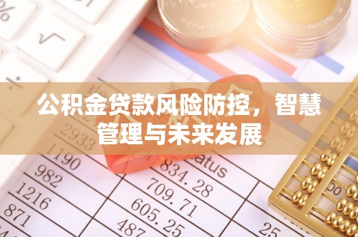 两当公积金贷款风险防控，智慧管理与未来发展