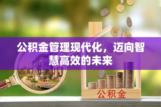 两当公积金管理现代化，迈向智慧高效的未来