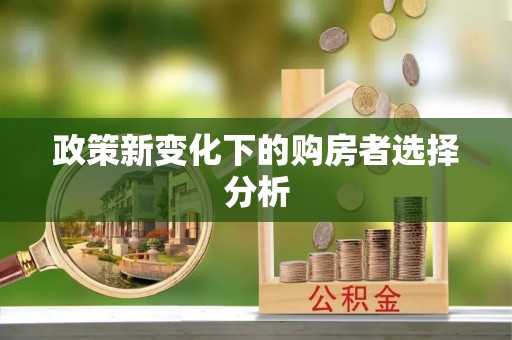 两当政策新变化下的购房者选择分析