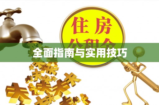 两当全面指南与实用技巧
