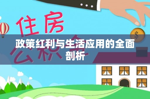 两当政策红利与生活应用的全面剖析
