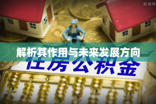 两当解析其作用与未来发展方向