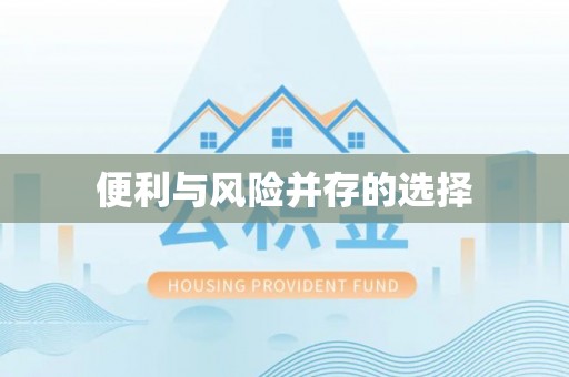 两当便利与风险并存的选择
