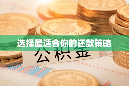 两当选择最适合你的还款策略
