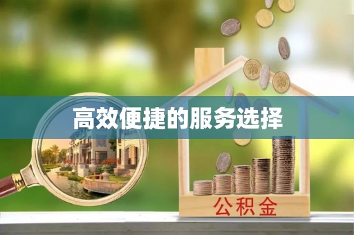 两当高效便捷的服务选择
