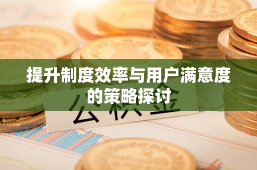 两当提升制度效率与用户满意度的策略探讨