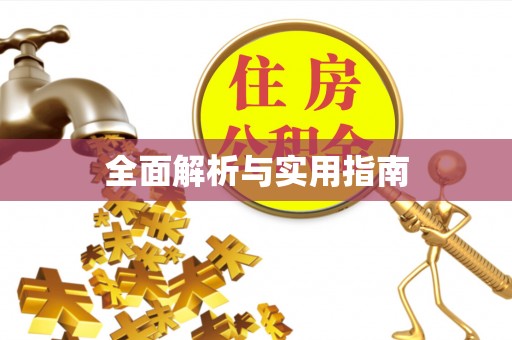 两当全面解析与实用指南